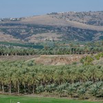 2015-12-12 BANANA 0067