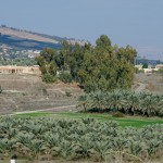 2015-12-12 BANANA 0068