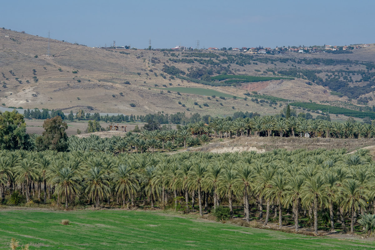 מעגניים השכרת אופניים בכנרת