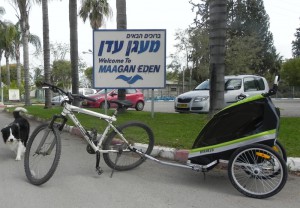 מעגניים השכרת אופניים בכנרת