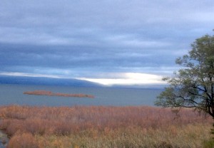 מעגניים השכרת אופניים בכנרת