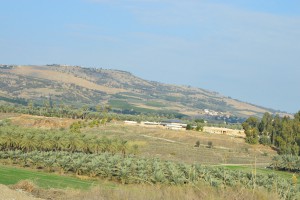 מעגניים השכרת אופניים בכנרת