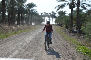 מעגניים השכרת אופניים בכנרת
