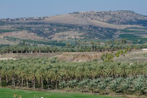מעגניים השכרת אופניים בכנרת